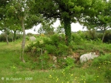 Kerfuens dolmens - PID:26227