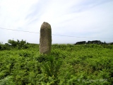 Traonigou alignement de menhirs - PID:48874