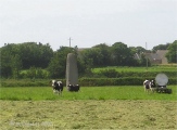 Saint-Gonvarc'h menhir - PID:48865