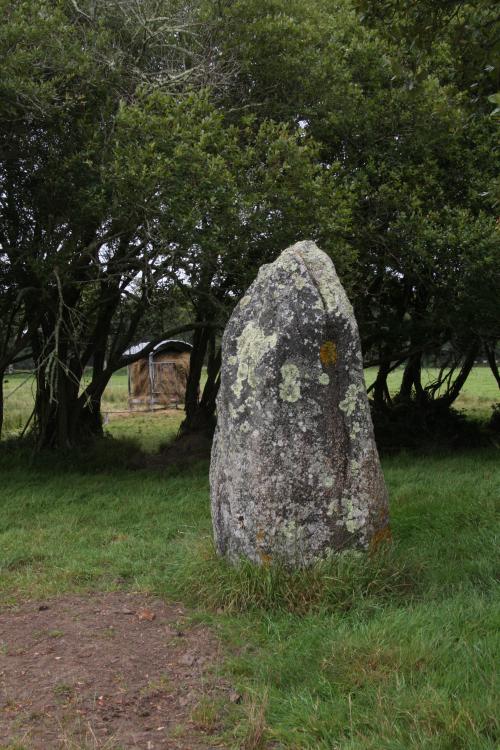 This is the south side. As csn be seen if compared with the other two images posted by me it is rather slim compared to the east and west faces of the stone.
Site in Bretagne:Finistère (29) France


