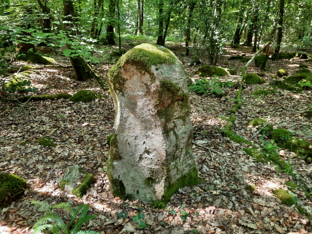 Menhir de la Forêt de Haute-Sève 1