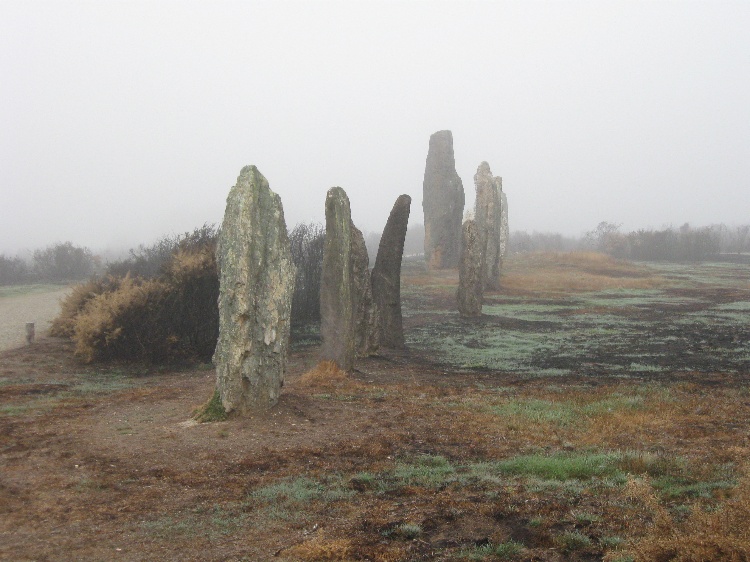Looking along the southern alignment in September 2009 shortly after a fire had raged through the area and left burn marks on some of the stones.