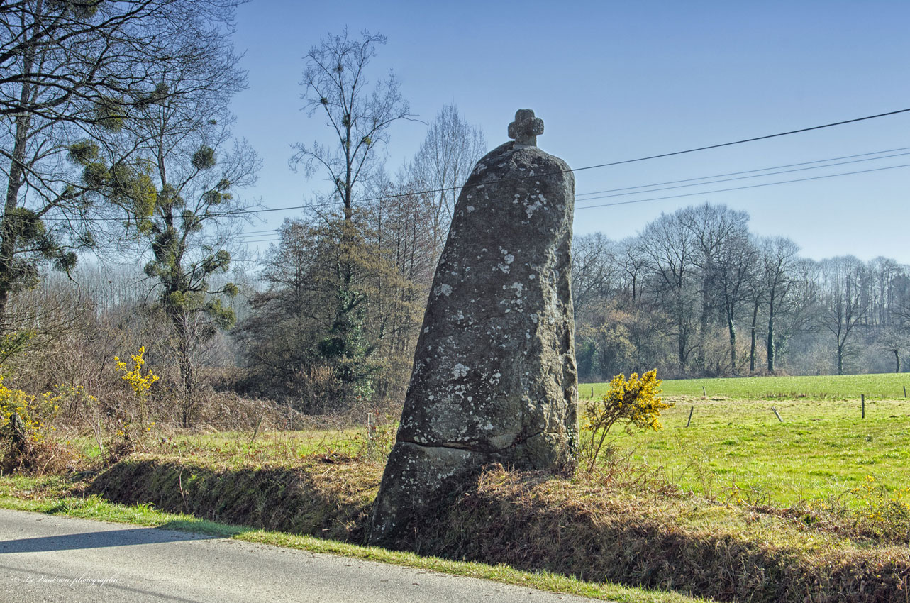 Pierre Longue (Noyal-sous-Bazouges)