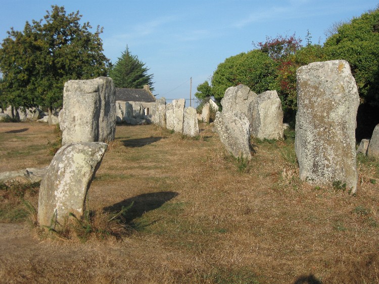 September 2009 - the larger numbered eastern group of stones which are separated from the western group by the D781 road north of Carnac