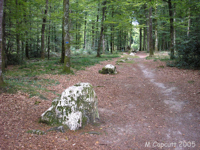 Cordon des Druides