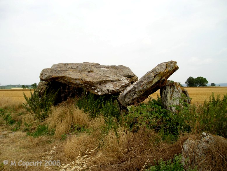 Up in the hills overlooking the Vienne river, in the Chinon wine producing area can be found the remains of this dolmen. 
 
Site in Centre:Indre-et-Loire (37) France

