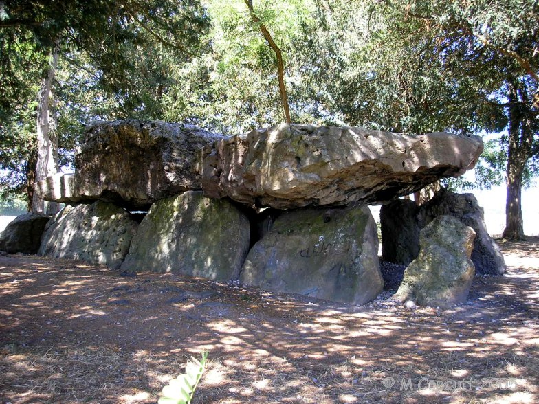 This fine large Angevin dolmen has a main chamber about 10 metres long by 4 metres wide, facing almost due east, with remnants of an Angevin porch. 