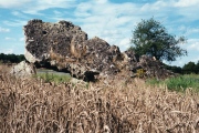 Dolmen de la Grenouille - PID:164371