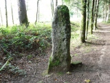 Menhir dit la Pierre des Gaulois - PID:171422