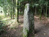 Menhir dit la Pierre des Gaulois - PID:171423