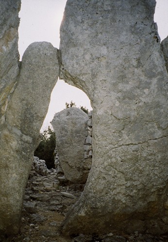 Feuilles Dolmen 1