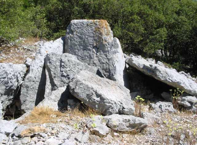 Mas Reynard dolmen 3.  2004 Dolmen lenght about 10 metres. Limestone.
