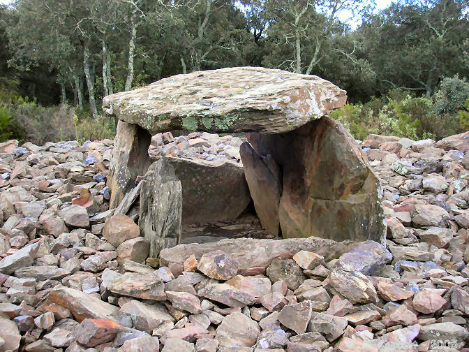The chamber is paved, and has a single capstone on top, which is only just big enough to cover the chamber and is supported on the two long sides by the side slabs, while at the ends the slabs do not reach the top.

The whole top of the capstone is carved, and is most intriguing.
