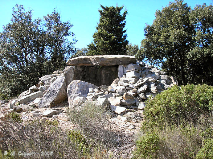 The slab sided chamber, 3 metres by 2 metres, is covered with a single large capstone, and has an entry looking over the Aude valley to the southeast at 160°. There is a small cairn surrounding the chamber, of which the excavations showed it to be of diameter only 8.5 metres, with an encircling circle of stones.