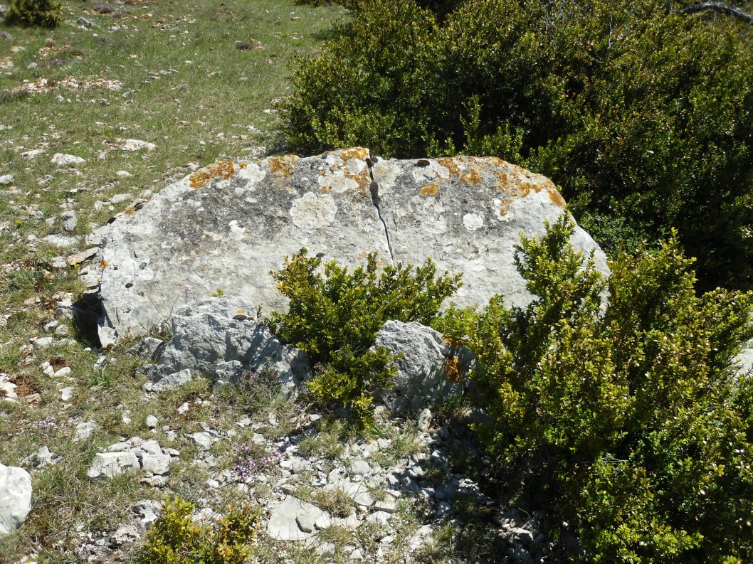 Site in Languedoc:Hérault (34) France
Dolmen du Signal de la Roque 6
