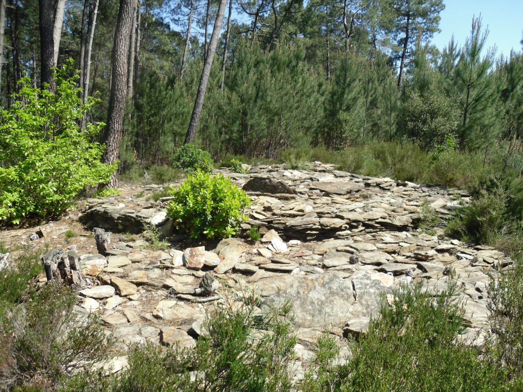 Site in Languedoc:Gard (30) France
Nécropole de Malausette 1
