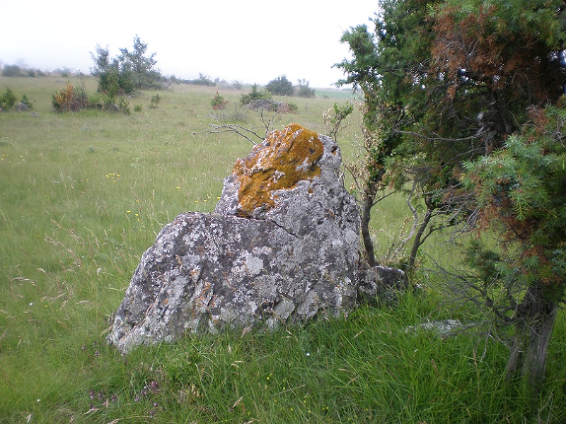 Unusual shape for a menhir on July 6, 2008