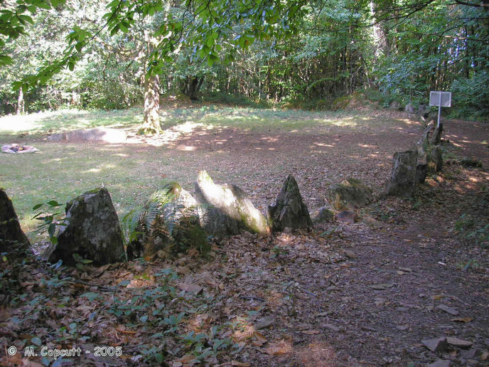 In a clearing on the forest covered slopes, the cromlech is made with many stones, nearly all less than a metre tall, set up almost touching each other making an enclosure which is a sort of rounded square about 40 to 50 metres across. 