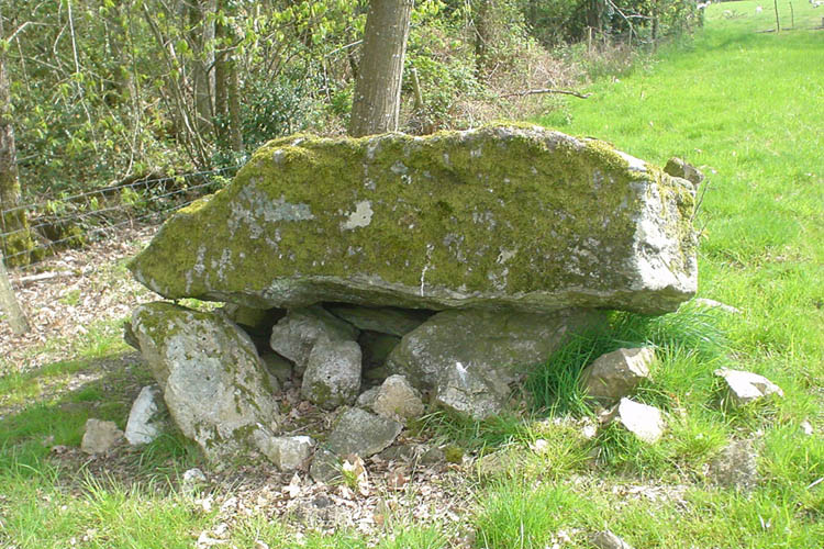 Dolmen dit de Taminage