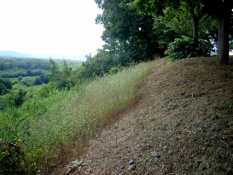 17/07/07    Looking Westwards, along the top of the fort. To the left a steep slope, splendid views.