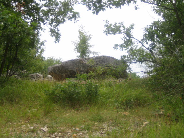 The Fourques Nsses Dolmen is located 2,5 kms South from Grezes, on the western side of a track suitable for motor vehicles.
Unfortunately I didn't measure it. The pictures show that one othostat fell into the chamber and the slab slid on it.
