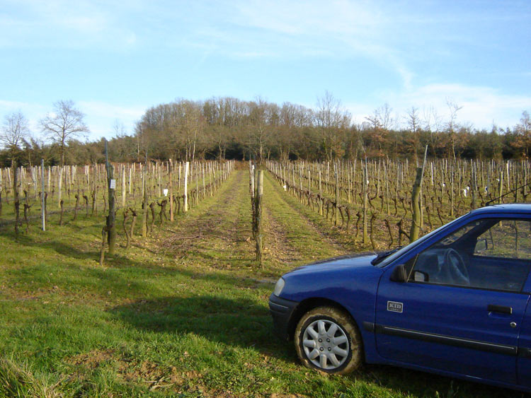 
27/02/2007    La Salle from the West. St Mont wine vines in foreground.
