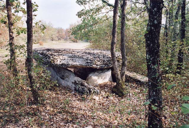 The commune of Septfonds in Le Tarn et Garonne contains at least 15 dolmens.