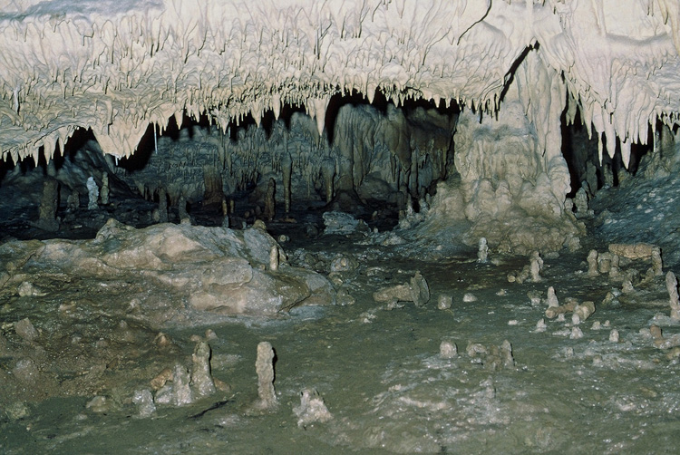 Grotte de Tuc-d'Audobert