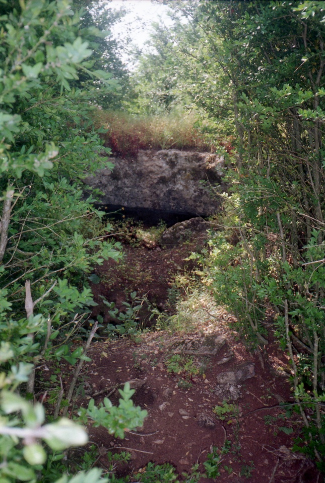 Visible between the bushes, June 20, 2002
