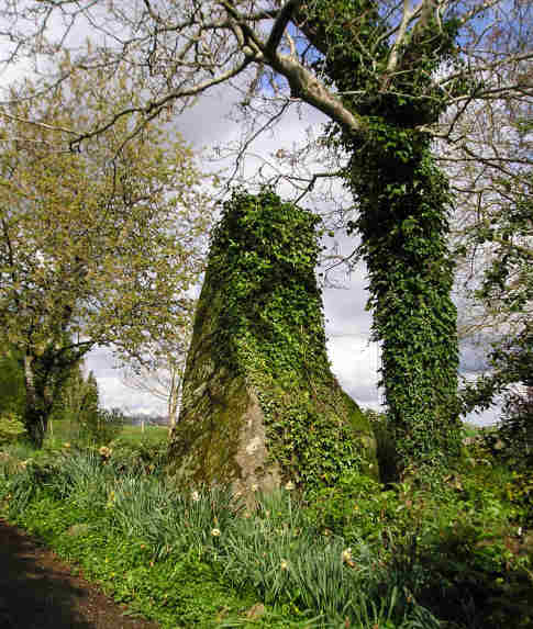 Perron menhir, Passais, Orne.

At least 3 metres high, this menhir is found signposted about 30 metres from the road in a private garden, although access to the stone is allowed up a driveway. 