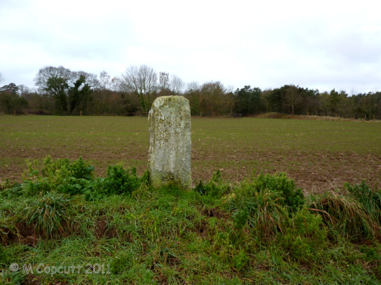 Its a few hundred metres walk up between the fields (very muddy today) to the stone, which is less than 1.5 metres tall, and shaped into about six smooth flat sides, although very irregular. 