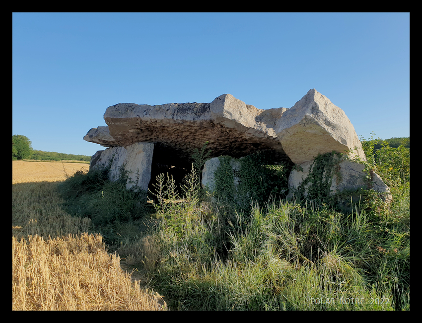 View from the South. Outer dimensions of this gigantic dolmen 14m by 7,6m. The 4,6m long and partly collapsed porticus capstone to the right looks small compared to the gigantic chamber capstones measuring 7,6m by 6m (centre)  and 6,8m by 6m (only partly visible in this image). 

Reference: Gruet, M., Inventaire des mégalithes de la France - Maine et Loire, 1967, p. 127-129.