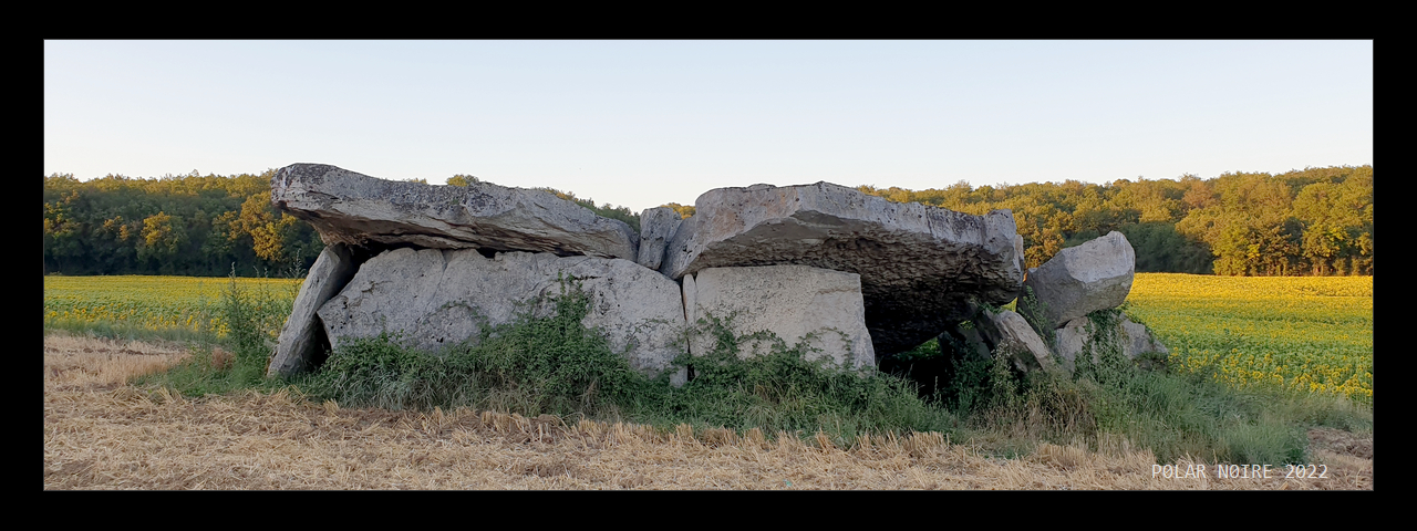 The outer dimensions of this monumental dolmen are 14m by 7,6m. The gigantic chamber capstones measuring 7,6m by 6m (left) and 6,8m by 6m. View from the South West.
Taken in July 2022. 
Reference: Gruet, M., Inventaire des mégalithes de la France - Maine et Loire, 1967, p. 127-129.