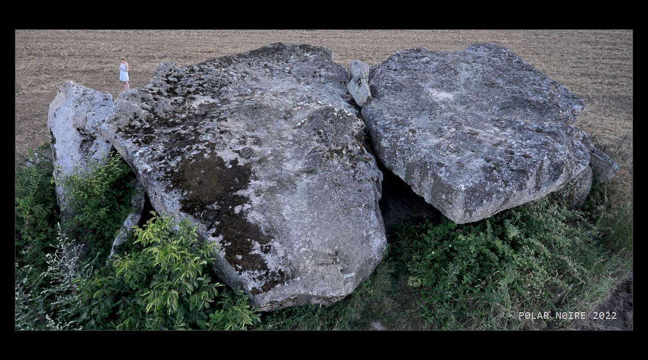 The outer dimensions of this monumental dolmen are 14m by 7,6m. The gigantic chamber capstones measuring 7,6m by 6m and 6,8m by 6m. The 4,6m long and partly collapsed porticus capstone (left in this photo) looks small in comparison.
Pole aerial view from a height of 6m. Taken in July 2022.


Reference: Gruet, M., Inventaire des mégalithes de la France - Maine et Loire, 1967, p. 127-129.