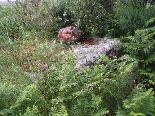 Probably an Allee Couverte judging from shape of largely burried and overgrown mound. Only 2 capstones and a few smaller blocks visible. 2 Km East of Saint-Brevin-Les-Pins.