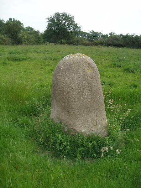 1.5 Meter tall rounded menhir In Fields 3 km South of La Haute Noé, in Hamlet of Gautrais.