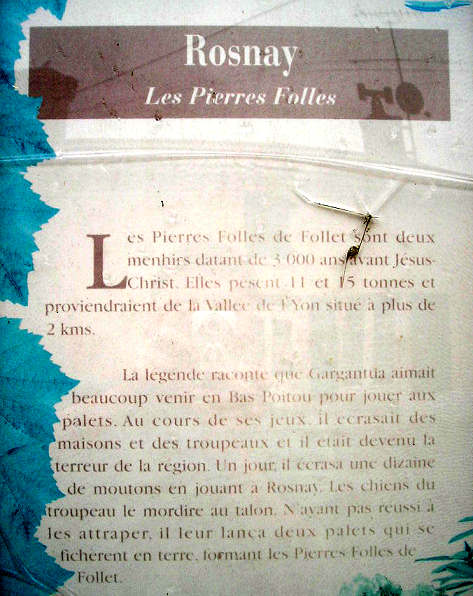 There is a legend associated with the Pierres Folles, which is printed on a little sign nearby, but which I struggle to translate adequately. 

Its along the lines of Gargantua playing quoits here, and destroying houses and the flocks, and causing terror in the region. One day, he crushed a dozen sheep while playing near Rosnay, and the sheepdogs got fed up, and threw two quoits back at him, whi