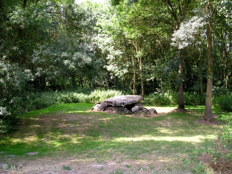 This is a nice little site, and easy to find to the south of Distré, as it is signposted. The dolmen is in a little woodland clearing in a marshy area, which makes it nice and green and shady on this hot afternoon. 