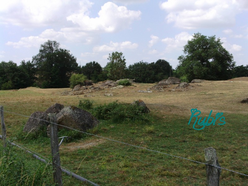 Dolmen de la Jaudonnière

Site in Pays de la Loire:Vendée (85) France.