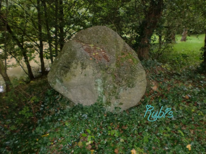 Site in Pays de la Loire:Vendée (85) France

