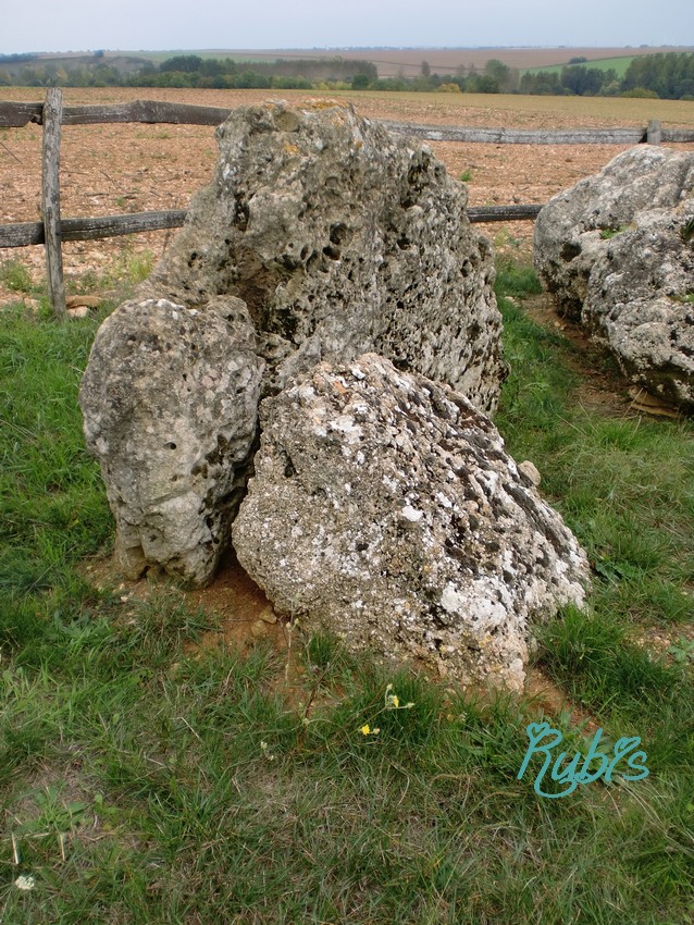 The stones are bigger than it seems.

Site in Pays de la Loire:Vendée (85) France

