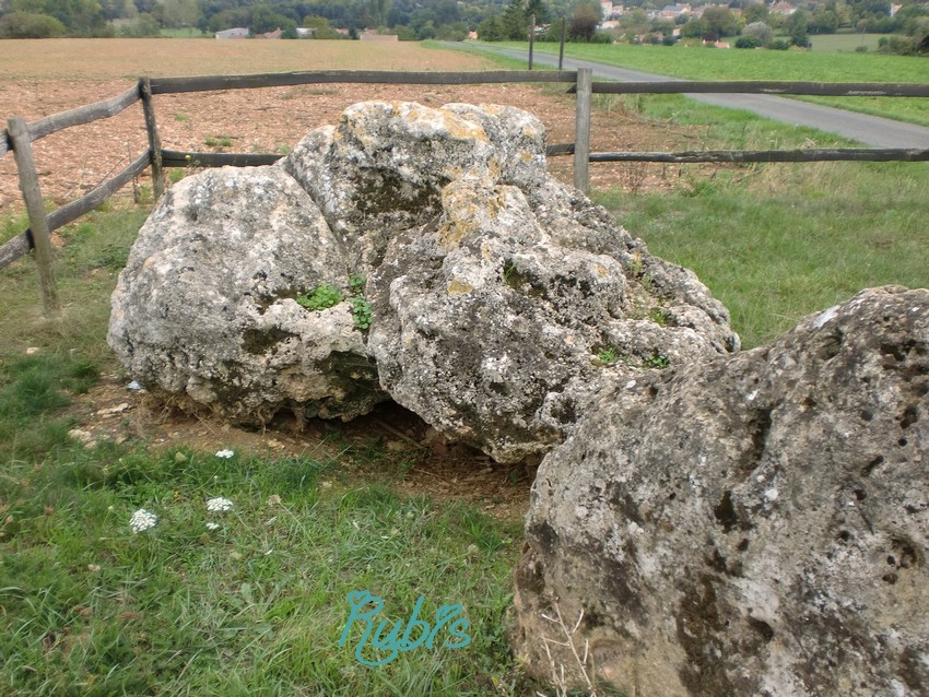 Dolmen de la Pierre Virante

Site in Pays de la Loire:Vendée (85) France

