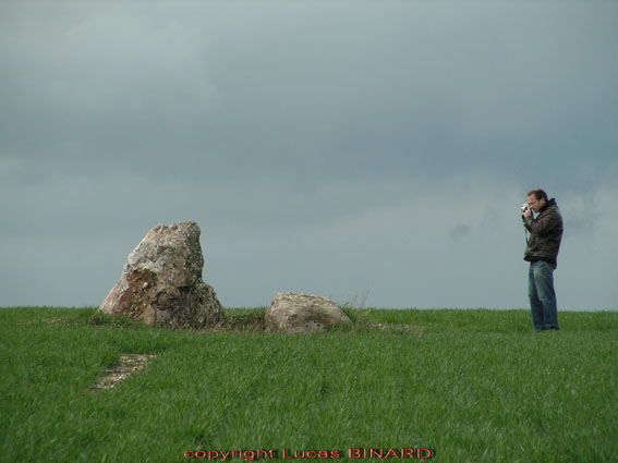 Site in Picardie:Oise (60)
 Borne du Bois Madame, is a real menhir located in middle of a field. This menhir points toward the Flavacourt passage grave on the other side of the hill. The same kind of stone was used to build the menhir and passage grave.
