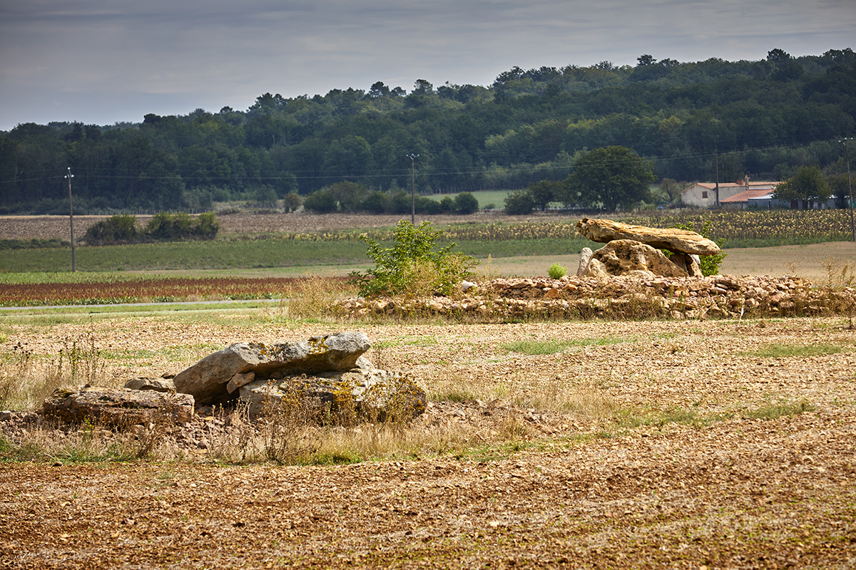 Site in Poitou:Deux-Sèvres (79) France