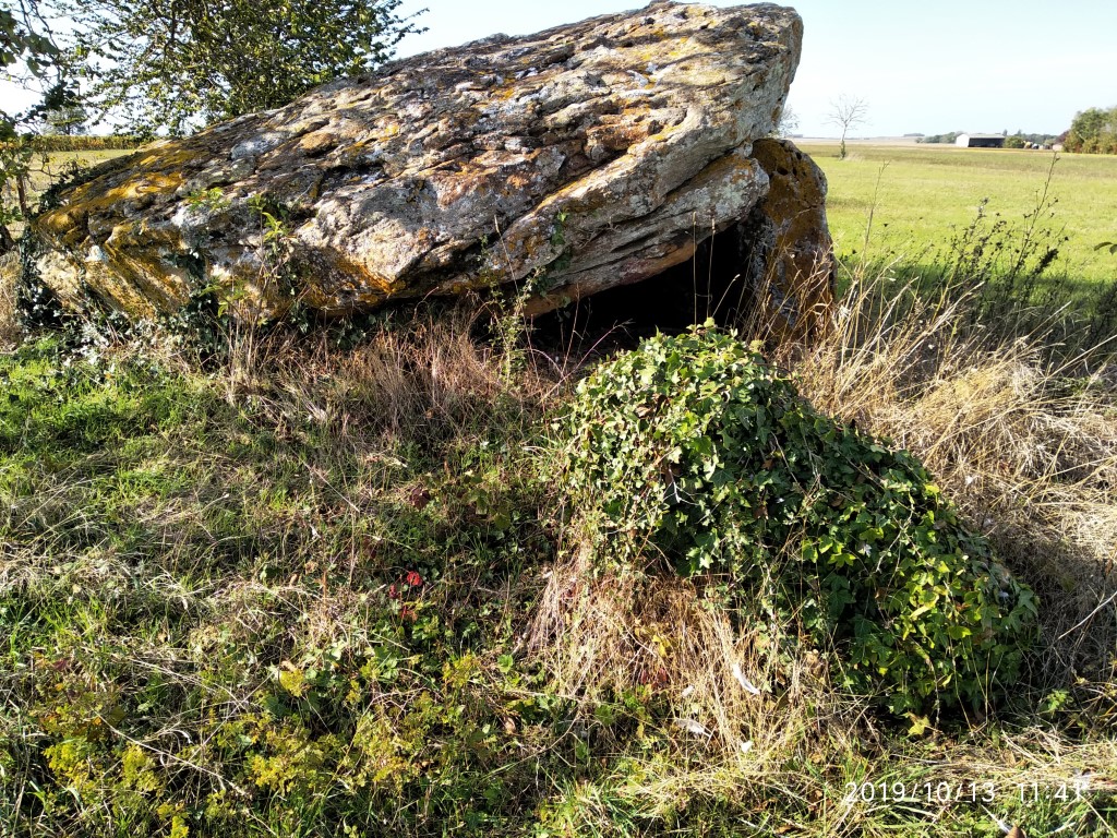 Further round the dolmen. Another huge stone covered in ivy