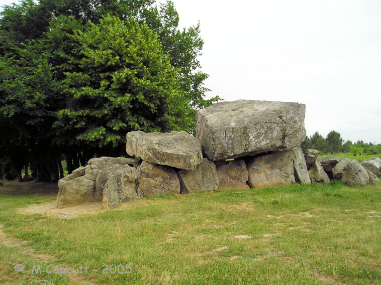 This superb monument is signposted to the north of the town of Montguyon, and has its own parking and picnic area. It is a double monument, with an Aquitaine allée-couverte combined with a dolmen. 