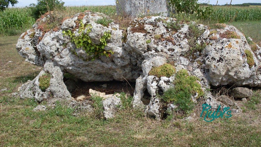 Site in Poitou:Charente-Maritime (17) France

