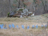 Dolmen de la Gélie - PID:86433