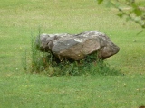 Dolmen de Baignes Sainte Radegonde - PID:92350