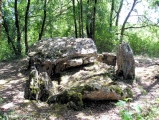 Arlait dolmens - PID:35510